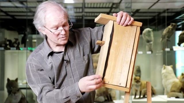 Как изготовить домики для птиц! Артур Кудрявцев смотреть онлайн