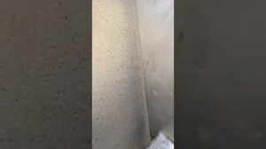 Провели воду из колодца в дом. Установили насос в колодец и завели трубу в дом.