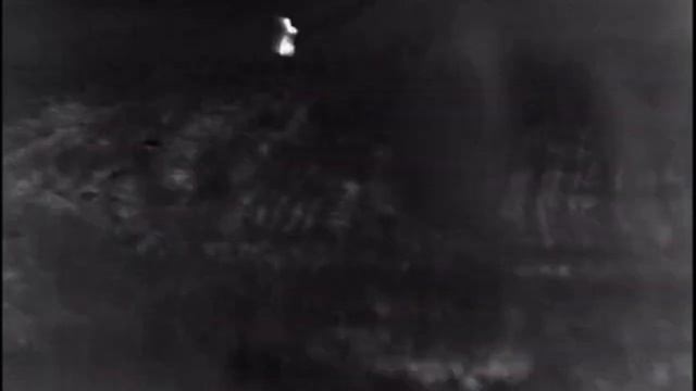 ОХОТА НА ВОЛКА НА ВАБУ. Первый раз ваблю на видео. Волк отозвался .#волкнавабу#охотанаволка#Волк смотреть онлайн