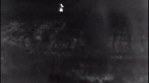 ОХОТА НА ВОЛКА НА ВАБУ. Первый раз ваблю на видео. Волк отозвался .#волкнавабу#охотанаволка#Волк