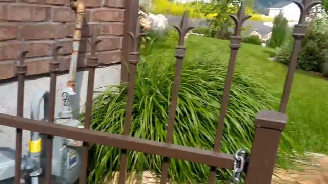 Розы, и как я не могу остановится их сажать. смотреть онлайн