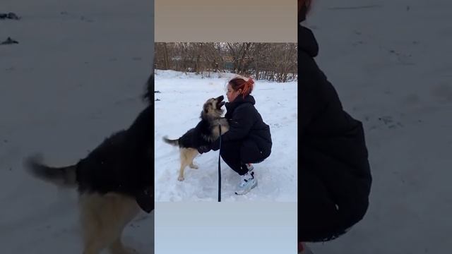 Настя Петрова не пропала, а делала добрые дела смотреть онлайн
