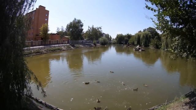 Миргород / Миргородская лужа / Time lapse смотреть онлайн