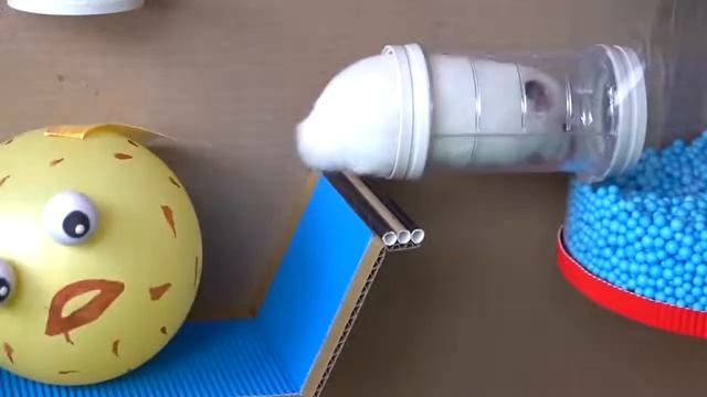 Удивительное приключение хомяка в бассейне смотреть онлайн