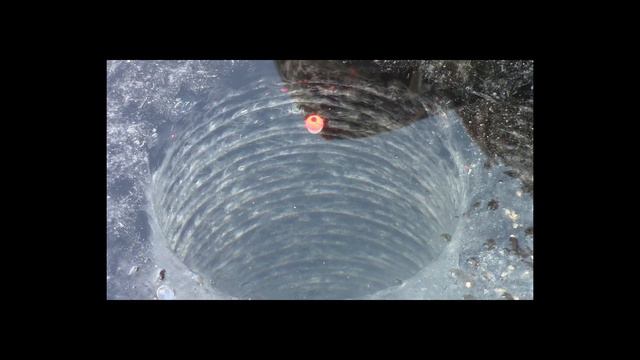 РЕАЛЬНО МНОГО РЫБЫ!КРУПНЫЙ ЧЕБАК КЛЮЕТ, ЖЕРЛИЦА НЕ ДАЕТ ПОКОЯ. смотреть онлайн