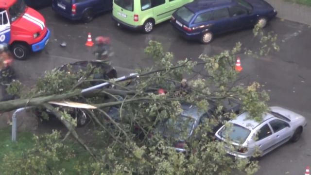 Ураган в Минске. Дерево упало и разбило машину смотреть онлайн