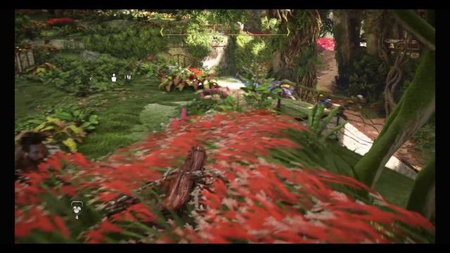 Horizon Forbidden West (1серия).mp4