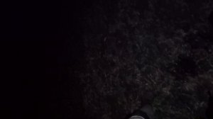 Minelab explorer SE стоило ли покупать в 2022 году?!
