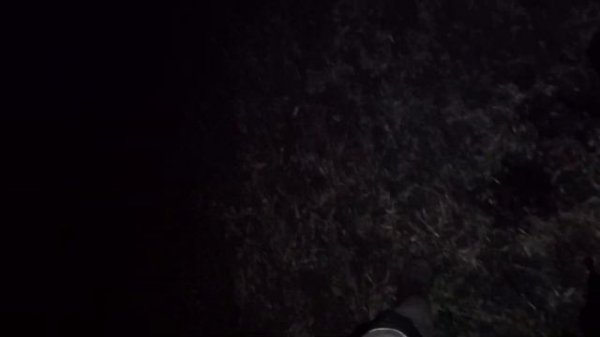 Minelab explorer SE стоило ли покупать в 2022 году?!