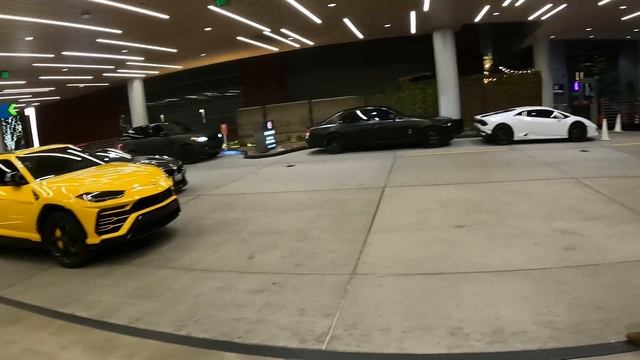 ?? Upscale Nightlife ?? Bellevue, Washington 2021 смотреть онлайн