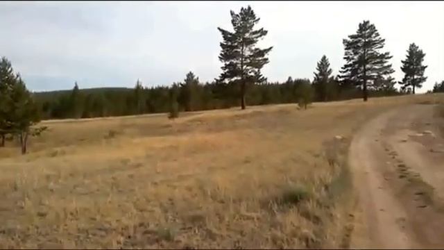 Тажераны(1).AVI смотреть онлайн