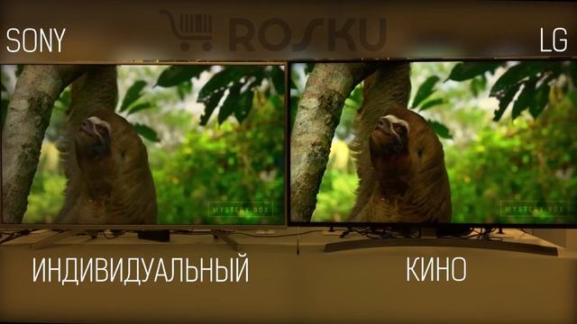 Поближе к ТОПАМ!??? Столкнем 8ки - Sony 49XF8577 VS LG 49SK8500 / xf8596 xf8577 sk8500 49xf8596 смотреть онлайн