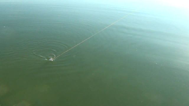 Борьба с трофейным сомом! смотреть онлайн