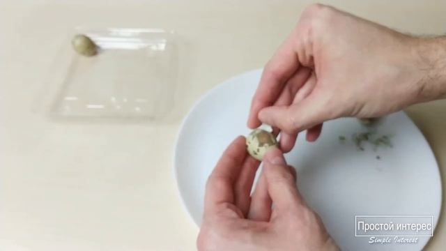 Скорлупа. Яйца из которых никто не вылупился