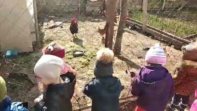 Детский садик Сафия г Каспийск смотреть онлайн