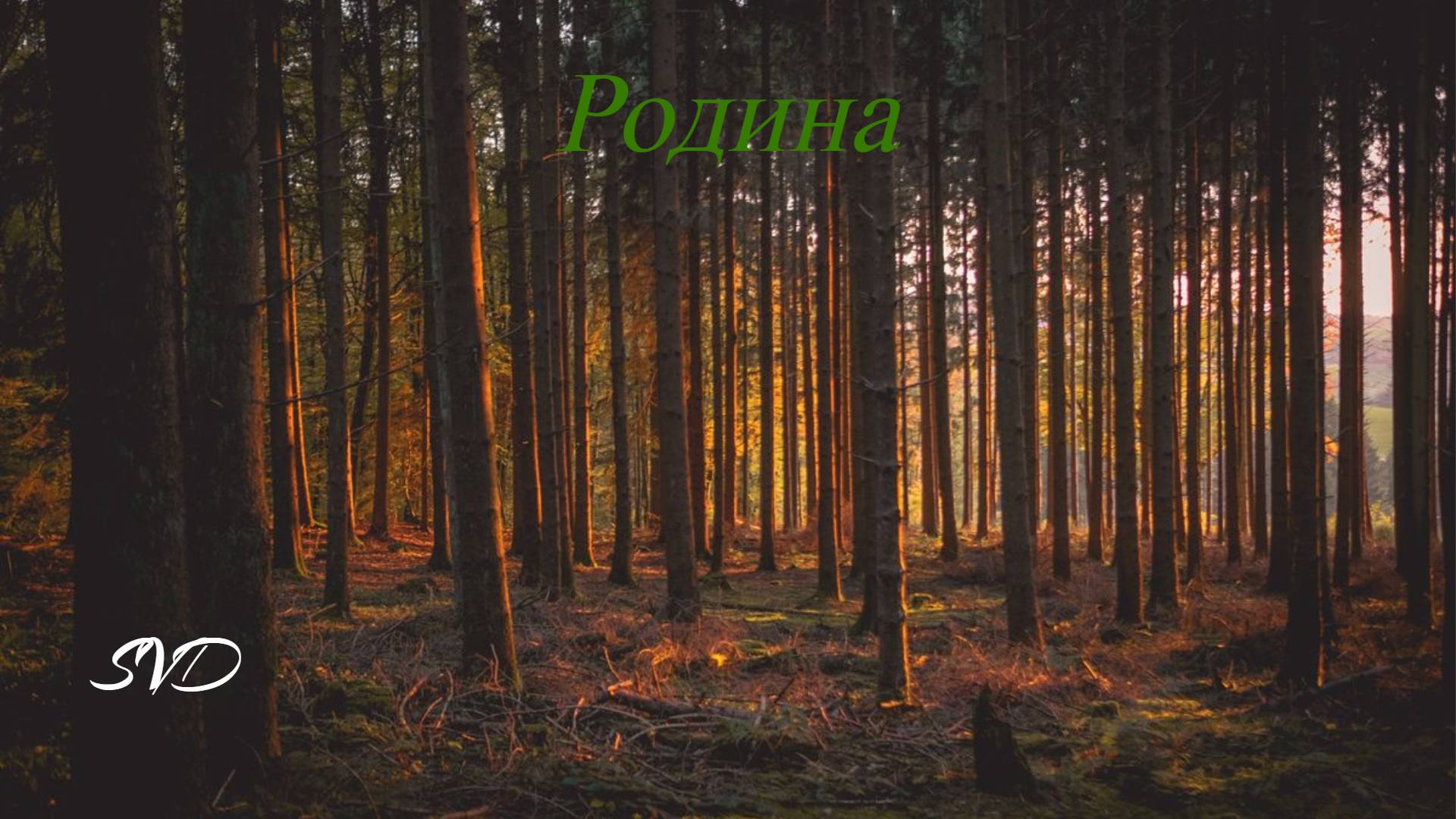 Стихи классических поэтов о Родине ? смотреть онлайн