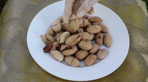 Пекан в скорлупе