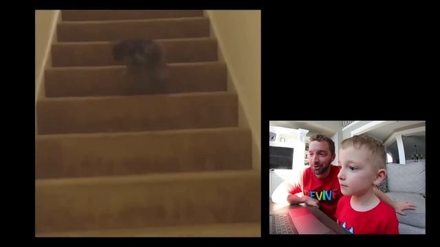 6 Year Old / TRY NOT TO LAUGH CHALLENGE! смотреть онлайн