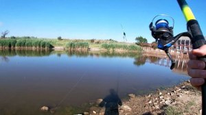 Рыбалка в Краснодарском крае/ где искать рыбу?