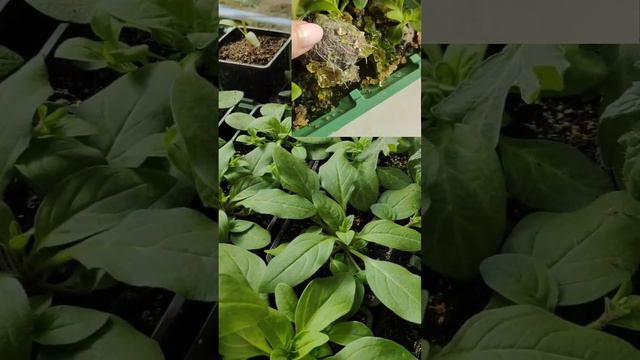 18 марта 2023 г. смотреть онлайн