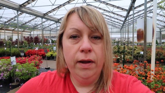 Weekly Update 5-16-20 :: To-Do's, Balloon Milkweed & Top Plants This Week смотреть онлайн