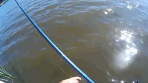 БЕШЕНЫЙ КЛЕВ КАРПА НА ПОПЛАВОЧНУЮ УДОЧКУ!!!