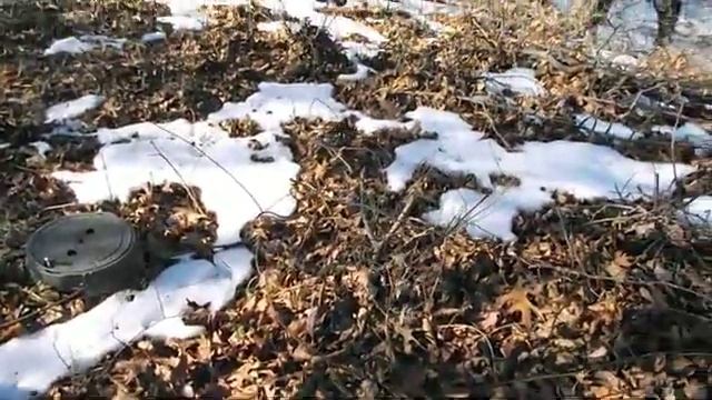 MAN SETS MOUSE FREE THEN IT GETS PICKED UP BY EAGLE!! смотреть онлайн