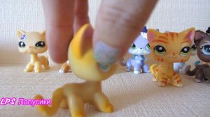 LPS КОЛЛЕКЦИЯ / Все мои лпс коллекции/ Littlest Pet Shop Collection!