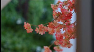 Почему нарцисс погружает вас в состояние нелогичности и неопределенности