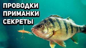 Проводки, советы, секреты по ловле окуня на ультралайт спиннинг и микроджиг. Рыбалка в Тюмени.