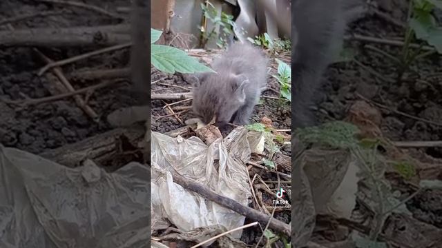 10 октября 2021 г. смотреть онлайн