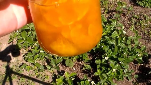 Апельсиновое варенье это просто и быстро. Ням-ням. Замена конфетам, выгодно смотреть онлайн