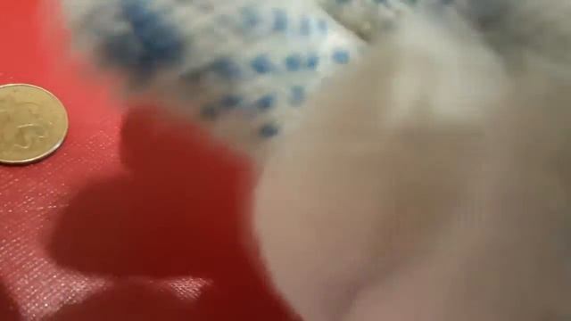 Как определить монетный двор на разных монетах? Обзор микроскопа-лупы смотреть онлайн