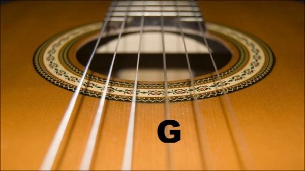 GUITAR TUNER - E Standard Tuning