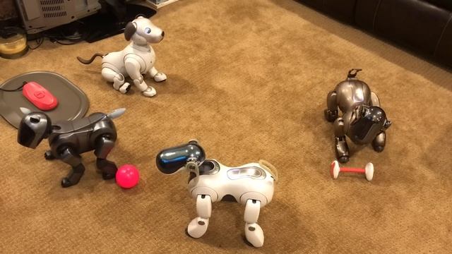 Aibo ERS-1000 Meets Original Aibos