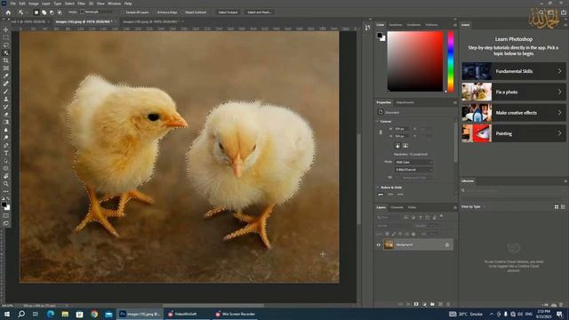 How to Use Object Selection Tool in Photoshop| Automatic Selection tool in urdu/Hindi Lec # 5 смотреть онлайн