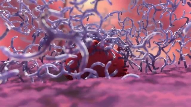 How do Viruses Reproduce? смотреть онлайн