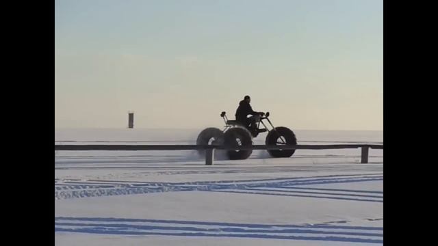 Каракат на ободрышах