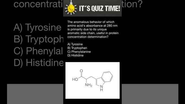 Which amino acid shows biggest absorbance at 280 nm? смотреть онлайн