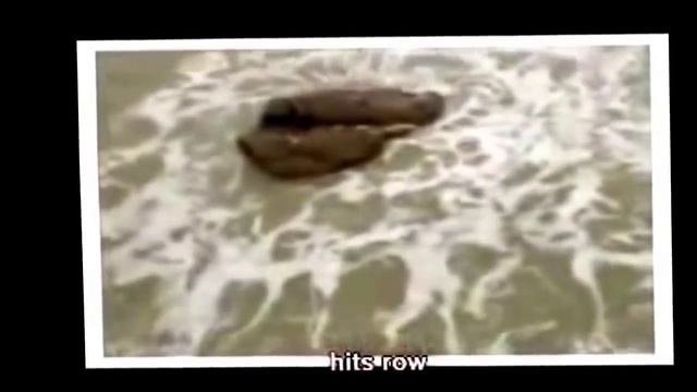 В Охотском море обнаружили живую русалку смотреть онлайн