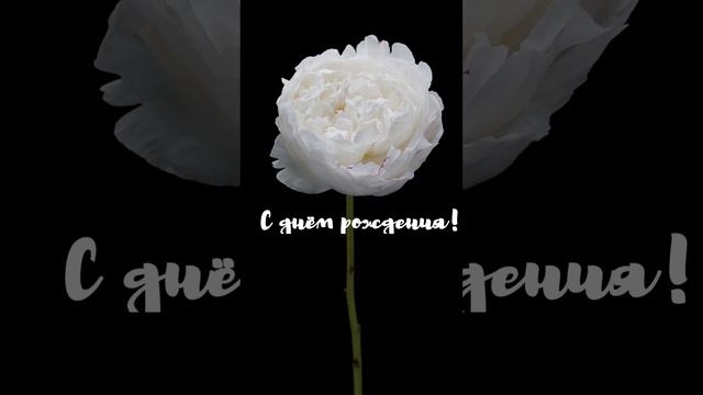 Красивое музыкальное поздравление с днем рождения женщине | SunPikRu смотреть онлайн