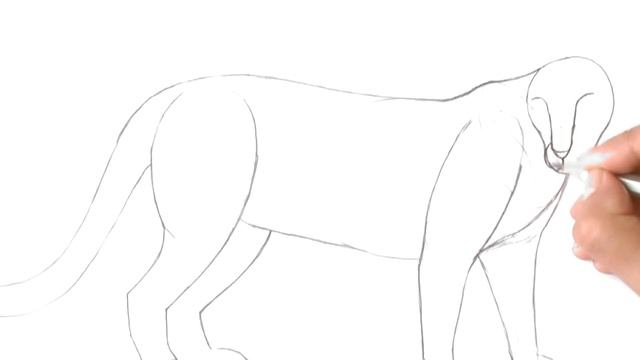 Рисуем ЛЕОПАРДА чернографитными карандашами ◘ ◈◆ ◆ Уроки рисования для детей смотреть онлайн