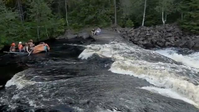 Розовый Слон, ошибка Адмирала.avi смотреть онлайн