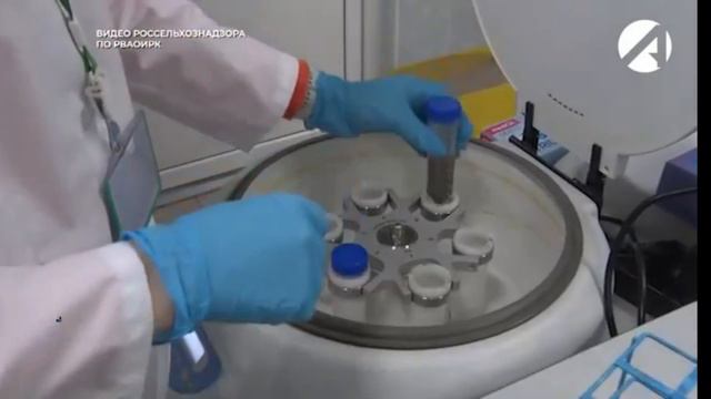 Инспекторы Россельхознадзора проводят обследования смотреть онлайн