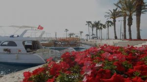 Температура воды в сиде в мае