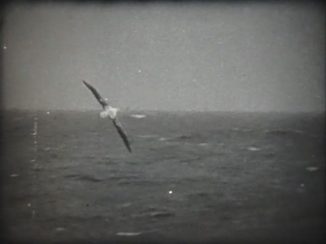 Литература. Максим Горький. Поэзия подвига