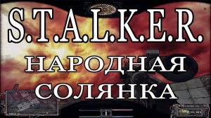 S.T.A.L.K.E.R. Народная солянка + ООП - Документы для Акима, часть 3 из Х-18