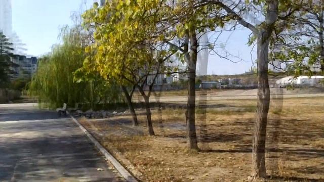 Экскурсия вокруг Волгоград Арены. Прекрасный парк Баку. смотреть онлайн