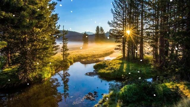 Музыка расслабляет нервную систему, улучшает память ? Музыка Сергея Чекалина #81 смотреть онлайн