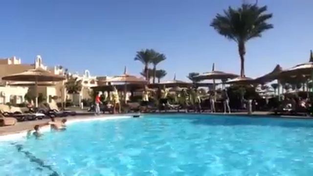 Animation team coral sea waterworld 30/12/13 смотреть онлайн